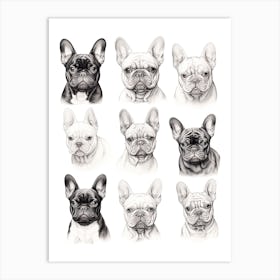 French Bulldog Dog, Line Drawing Pattern Art Print