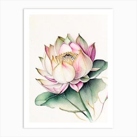 Lotus Flower Pattern Watercolour Ink Pencil 3 Art Print