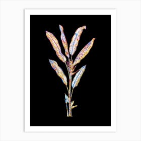 Stained Glass Parrot Heliconia Mosaic Botanical Illustration on Black n.0114 Art Print