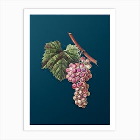 Vintage Grape Vine Botanical Art on Teal Blue n.0203 Art Print