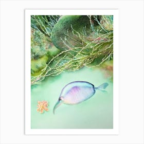 Jellynose Fish Storybook Watercolour Art Print