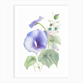 Morning Glory Floral Quentin Blake Inspired Illustration 4 Flower Art Print