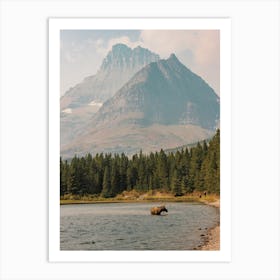 Moose In Lake Art Print