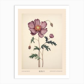 Hanaichige Japanese Anemone 1 Vintage Japanese Botanical Poster Art Print