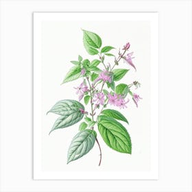 Peppermint Floral Quentin Blake Inspired Illustration 2 Flower Art Print