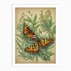 Butterflies On A Leaf Art Print