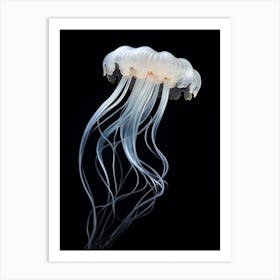 Irukandji Jellyfish Simple Illustration 4 Art Print
