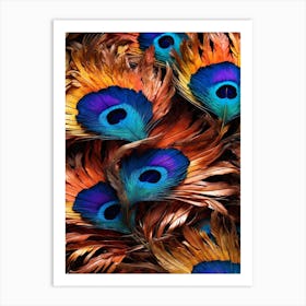 Peacock Feathers Art Print 1 Art Print