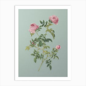Vintage Rose of the Hedges Botanical Art on Mint Green n.0876 Art Print