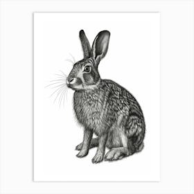 Californian Black Blockprint Rabbit Illustration 2 Art Print