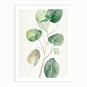 Wild Yam Herb Minimalist Watercolour Art Print