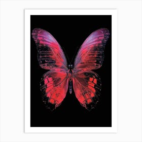 Butterfly On Black Background 2 Art Print