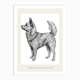 Swedish Vallhund Dog Line Sketch 3 Poster Art Print