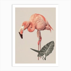 Andean Flamingo And Alocasia Elephant Ear Minimalist Illustration 4 Art Print