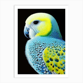 Budgerigar Pointillism 2 Bird Art Print