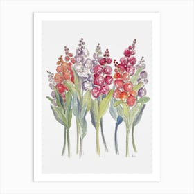 Bright Stock Flowers Art Print