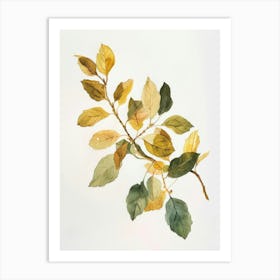 Autumn Leaves 18 Art Print