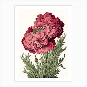 Carnation 1 Floral Botanical Vintage Poster Flower Art Print