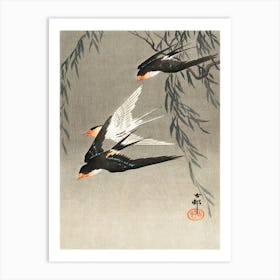 Three Red Tailed Swallows In Dive (1900 1930), Ohara Koson Art Print