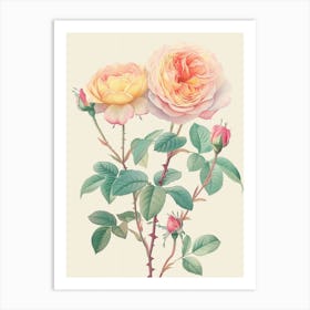 English Roses Painting Sketch Style 1 Art Print