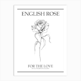 English Rose Black And White Line Drawing 22 Poster Art Print