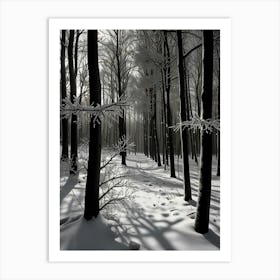 Winter Forest 4 Art Print