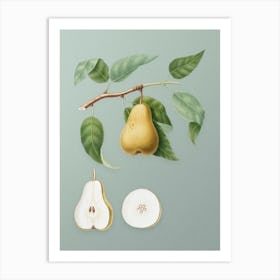 Vintage Pear Botanical Art on Mint Green n.0086 Art Print