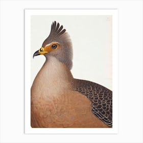 Grouse James Audubon Vintage Style Bird Art Print