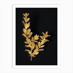 Vintage Buxus Colchica Bush Botanical in Gold on Black n.0408 Art Print
