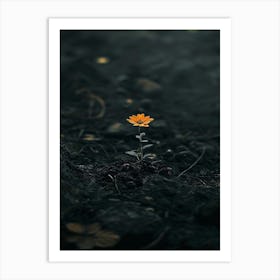 Single Flower In The Dark 108 Art Print