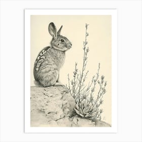 Chinchilla Rabbit Drawing 4 Art Print