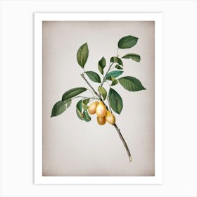 Vintage Plum Botanical on Parchment n.0713 Art Print