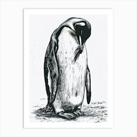 King Penguin Grooming Their Feathers 2 Art Print