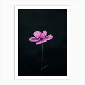 Pink Flower 7 Art Print