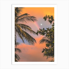 Rainbow Over Palm Trees Art Print