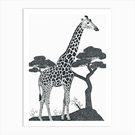 Giraffe Browsing High Treetops Art Print