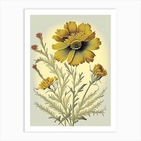 Coreopsis Wildflower Vintage Botanical 2 Art Print