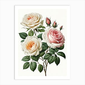 Vintage Galleria Style Rose Art Painting 19 Art Print