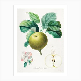 Rambour D'Été, Henri Louis Duhamel Art Print