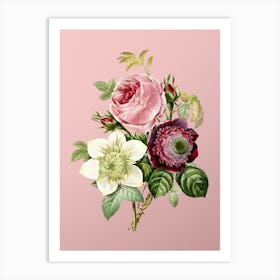 Vintage Anemone Rose Botanical on Soft Pink n.0095 Art Print