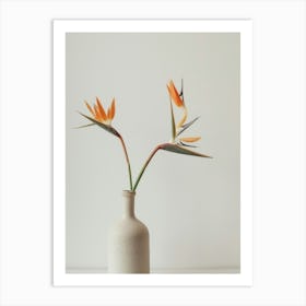 Bird Of Paradise In A Vase Art Print