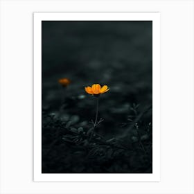 Single Flower In The Dark 42 Art Print