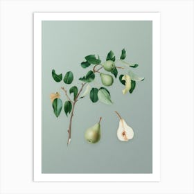 Vintage Pear Botanical Art on Mint Green n.0880 Art Print