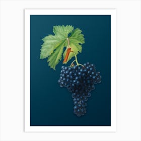 Vintage Fuella Grapes Botanical Art on Teal Blue n.0080 Art Print