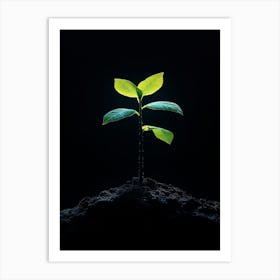 Tree Sprouting On A Black Background Art Print