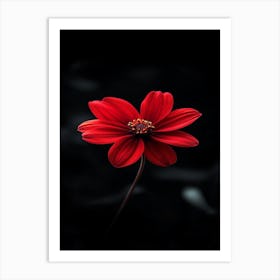 Red Dahlia Flower 2 Art Print