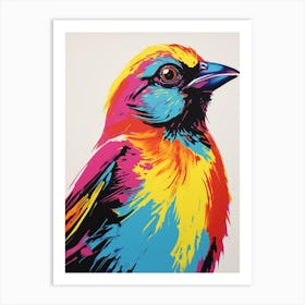 Andy Warhol Style Bird Cowbird 3 Art Print