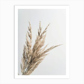 Dry Grass Art Print