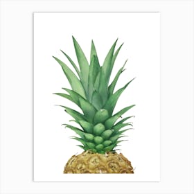 Pineapple II Art Print