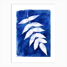 Cyanotype Botanical 4 Art Print